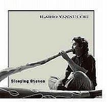 Ilario Vannucchi_Sleeping stones